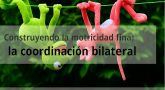 Construyendo la motricidad fina: la coordinación bilateral