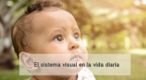 El sistema visual en la vida diaria