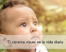 El sistema visual en la vida diaria